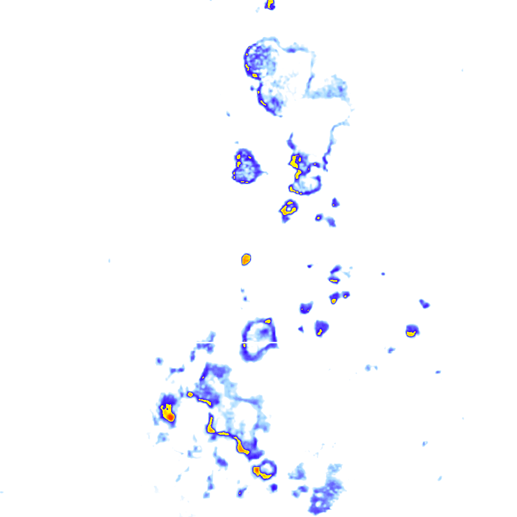 Image Layer