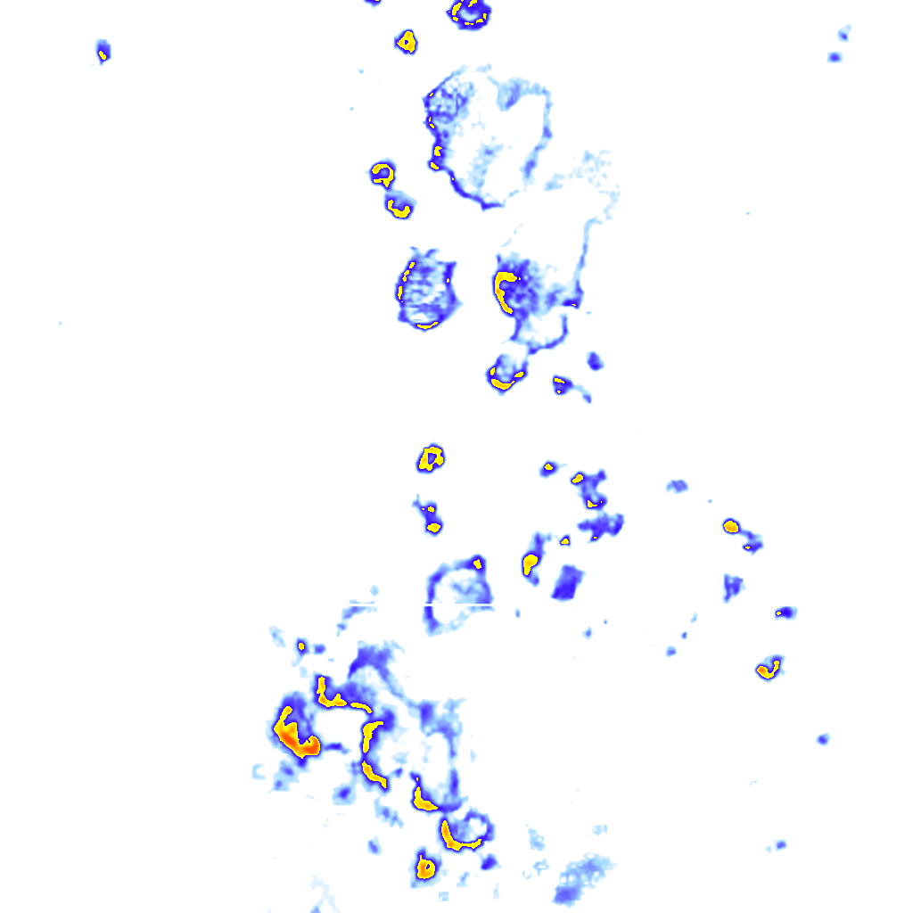rainLayer