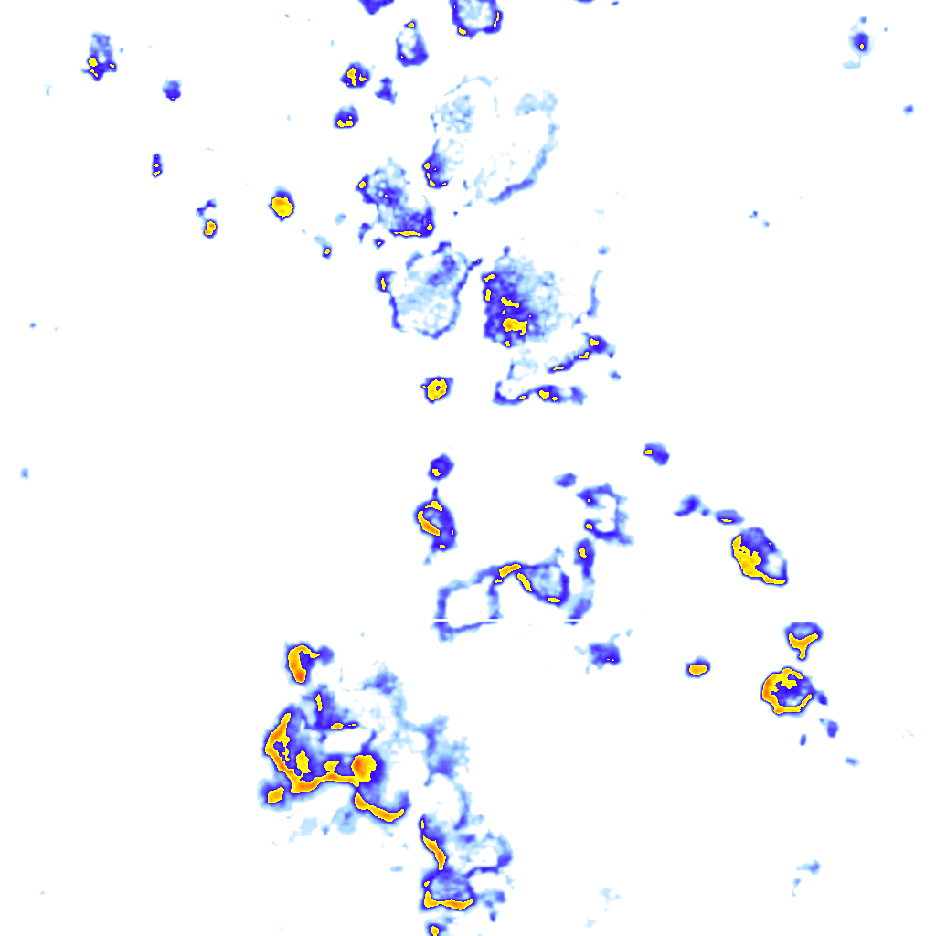 Image Layer