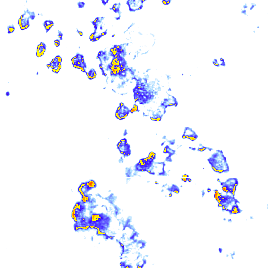 rainLayer