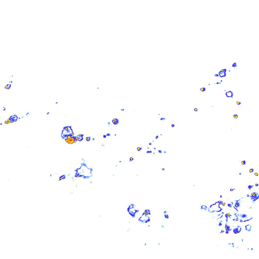 Image Layer
