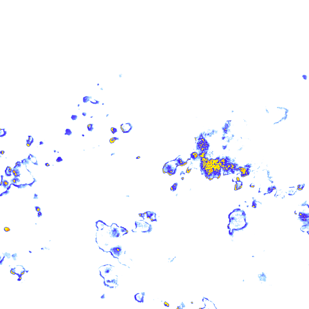 rainLayer