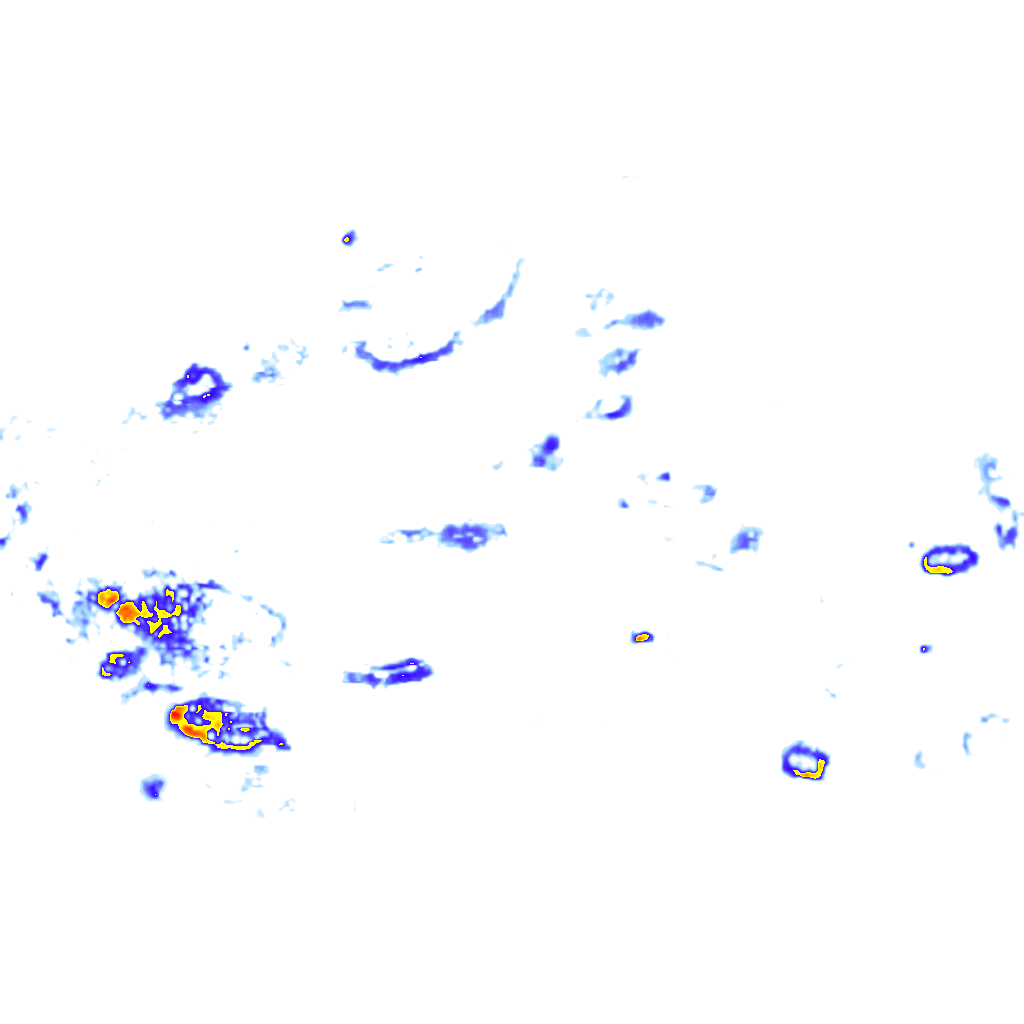 rainLayer