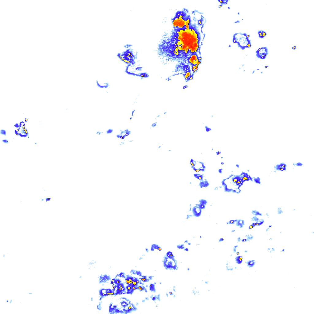 Image Layer