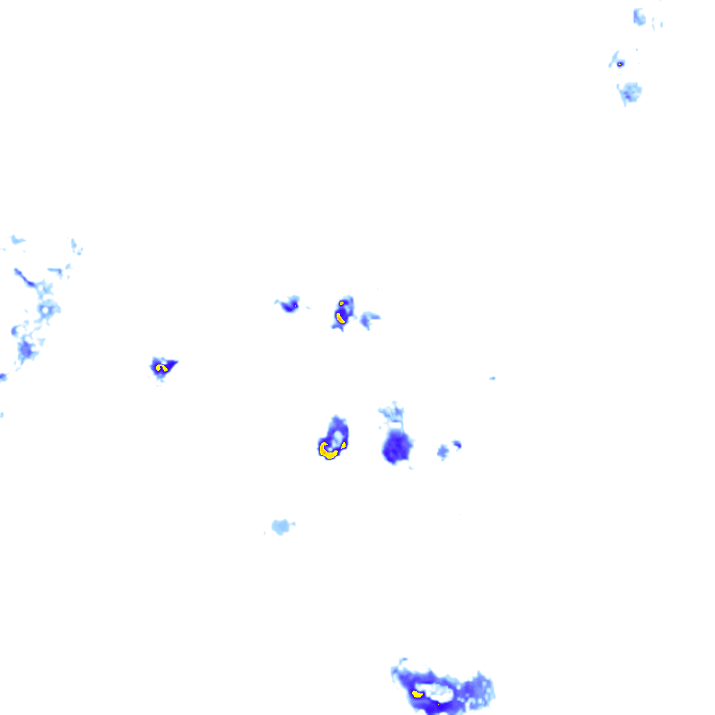rainLayer