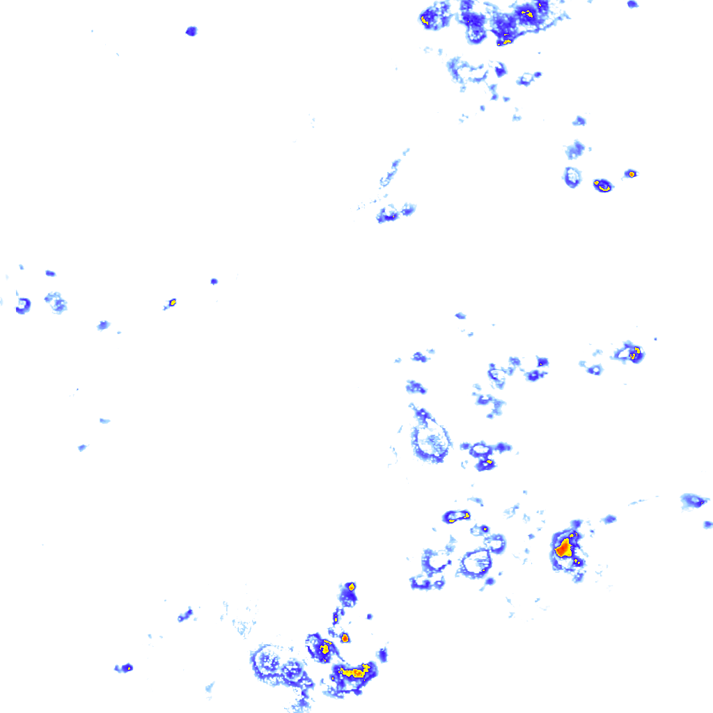 Image Layer