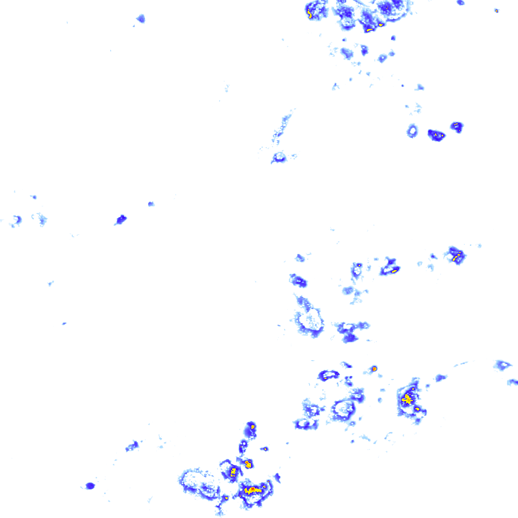 rainLayer