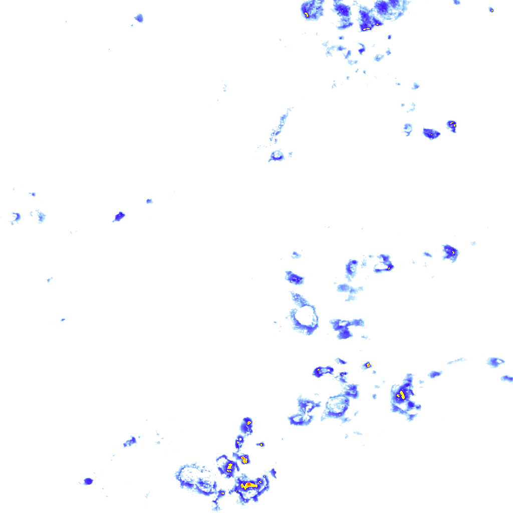 rainLayer