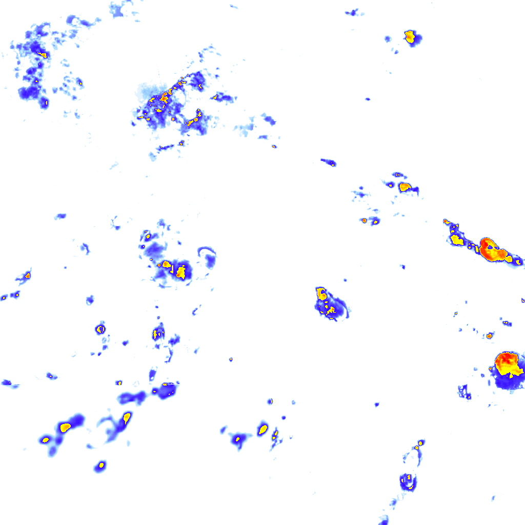 rainLayer