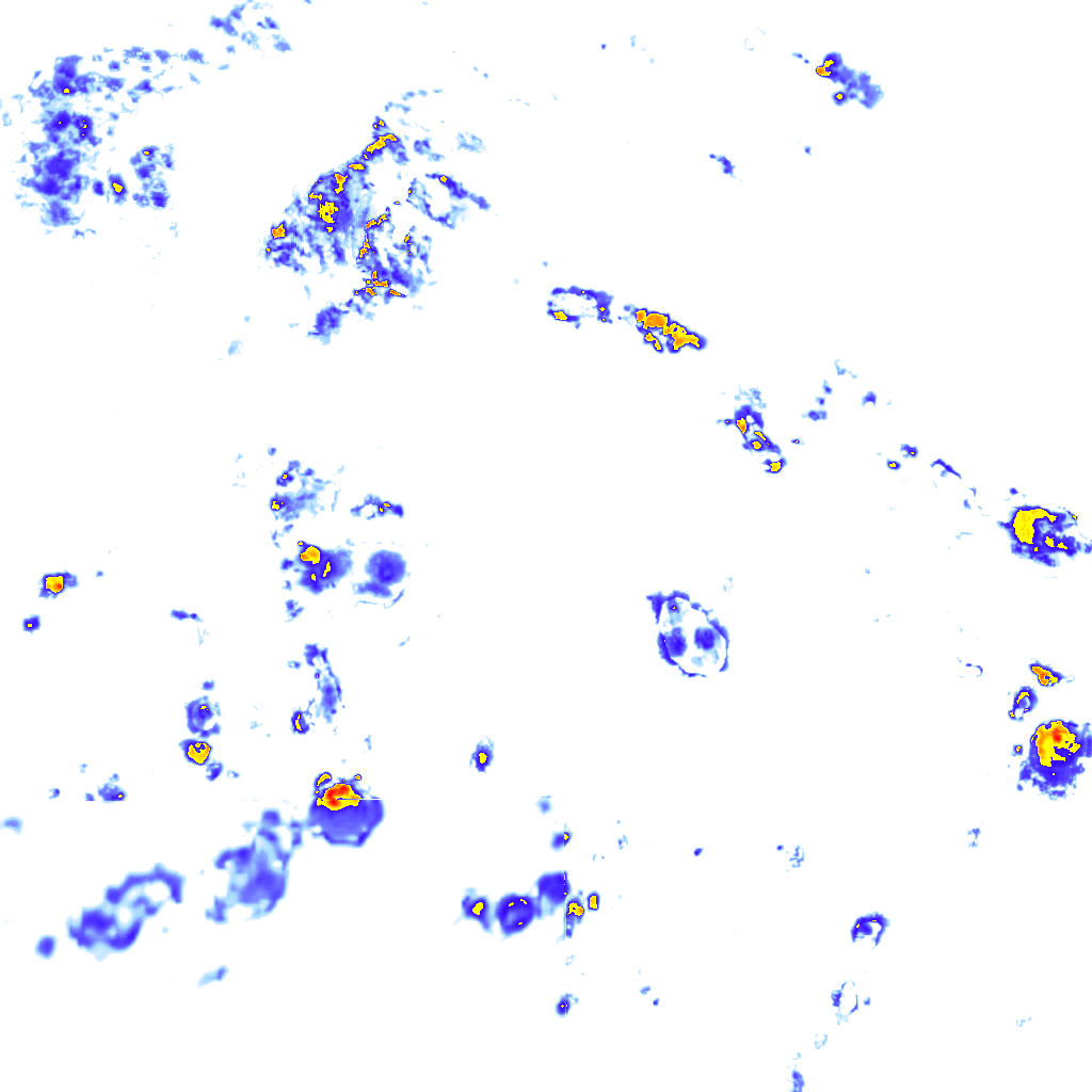 rainLayer