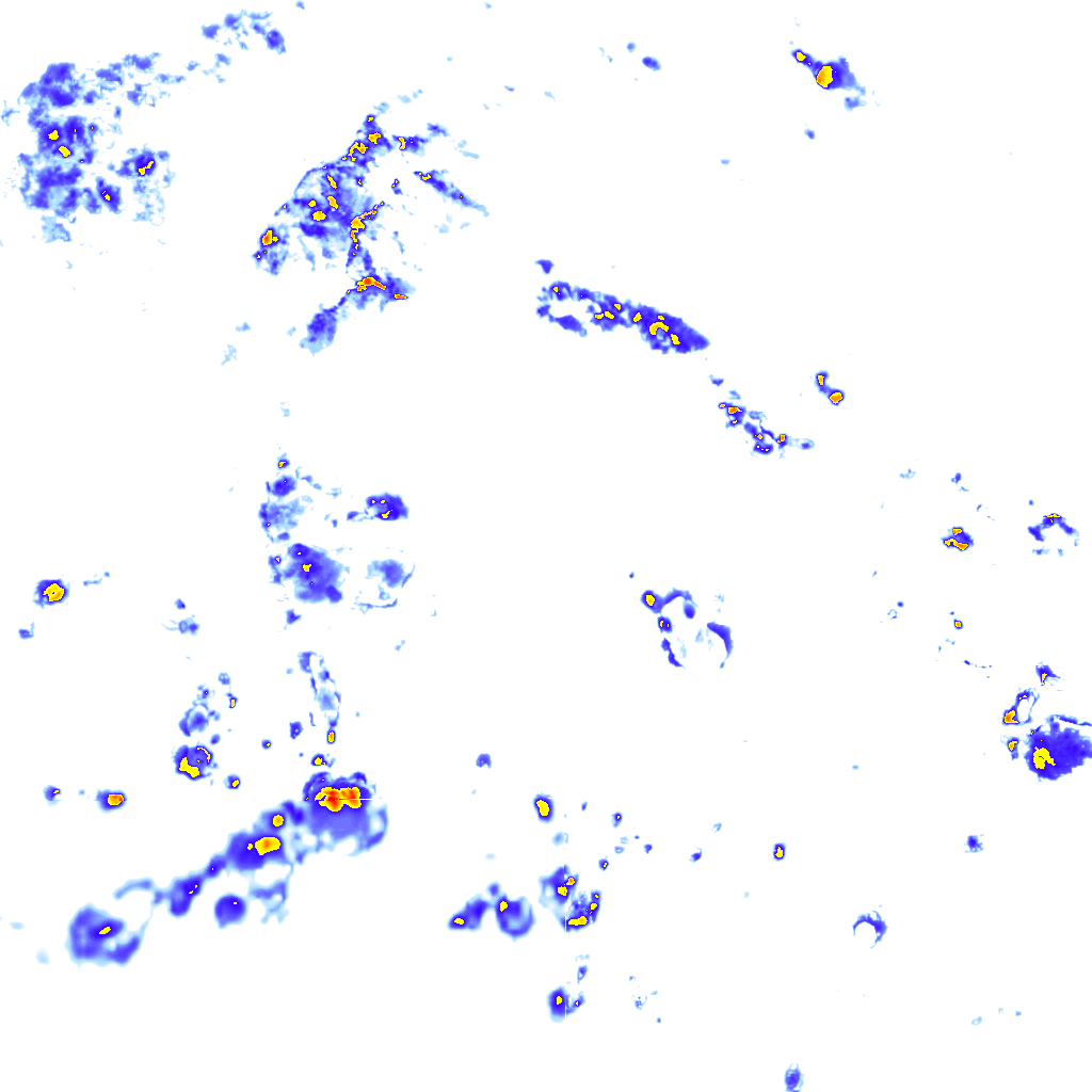 Image Layer