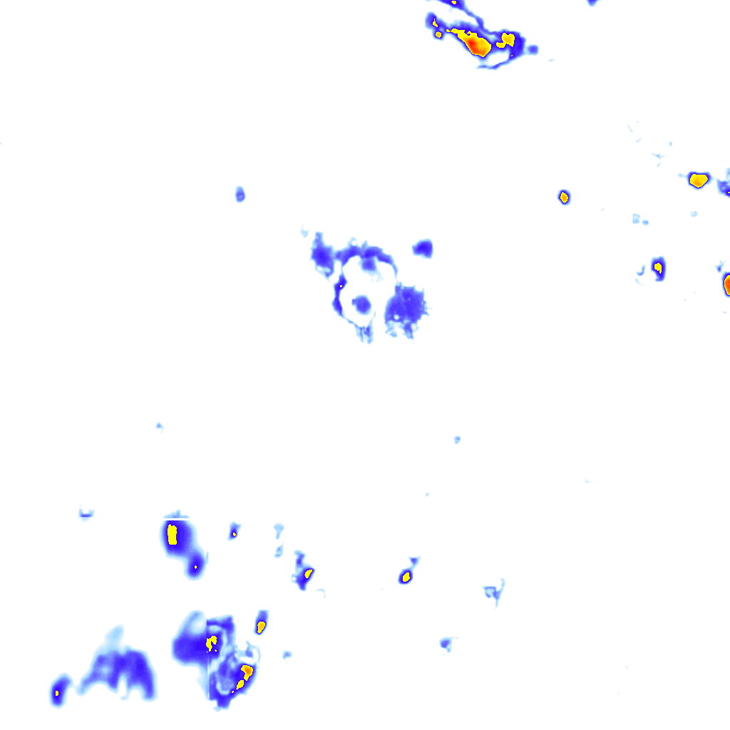 Image Layer