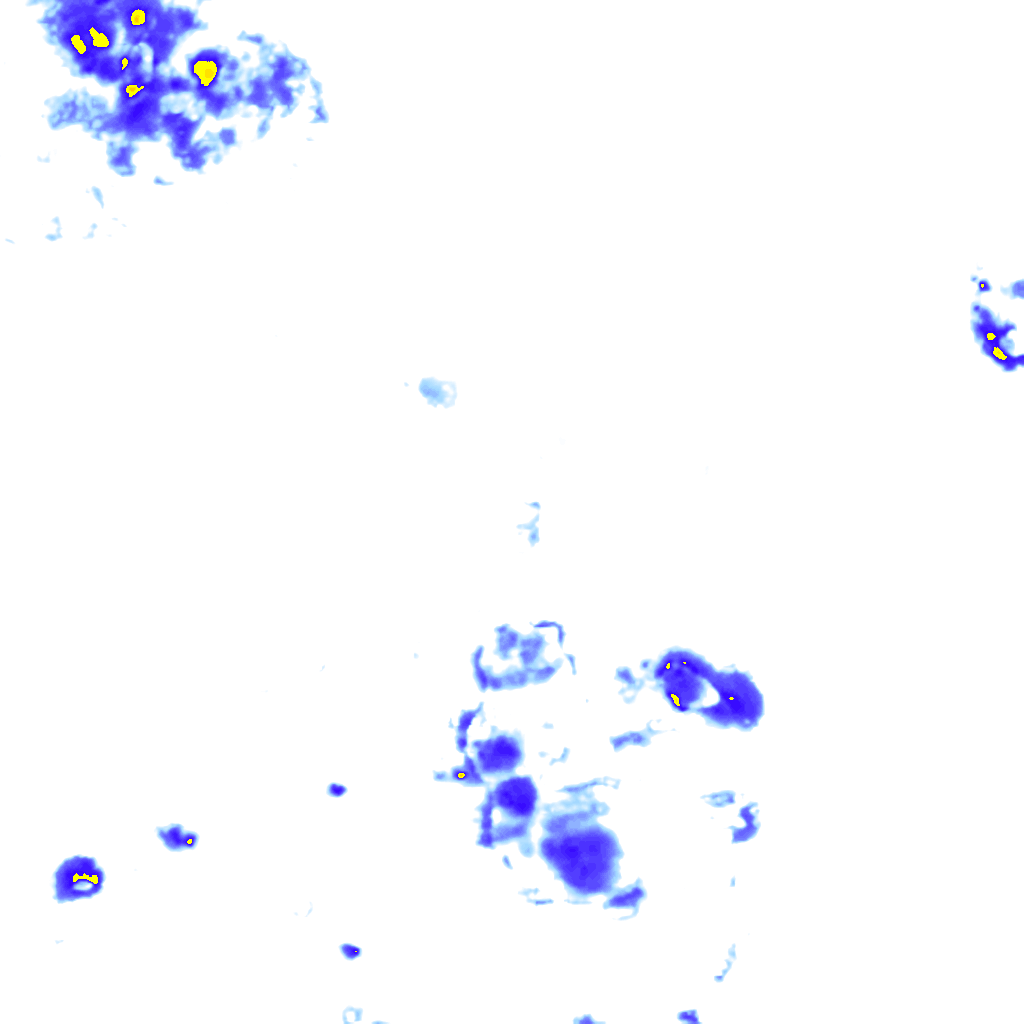Image Layer