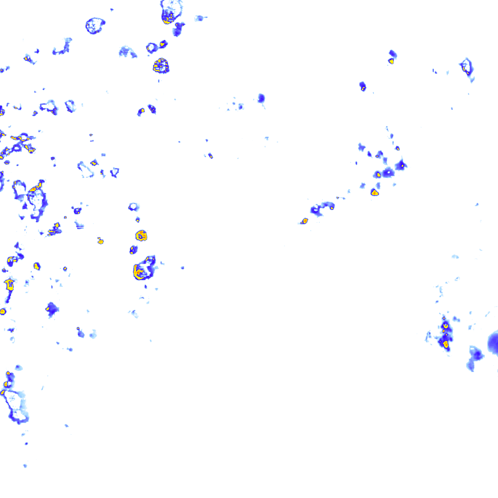 rainLayer