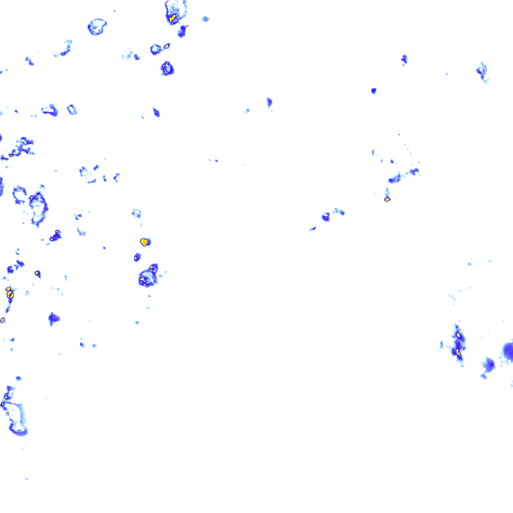rainLayer