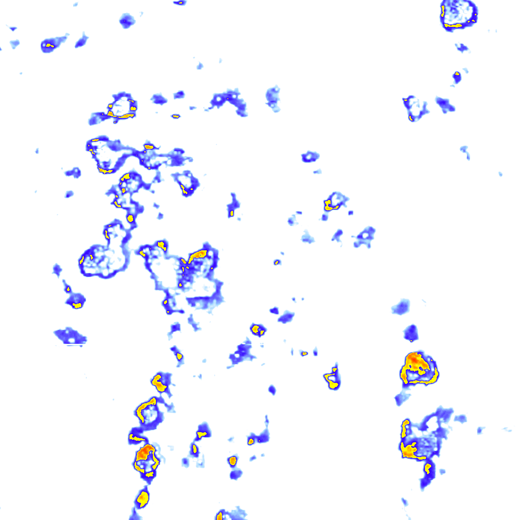Image Layer