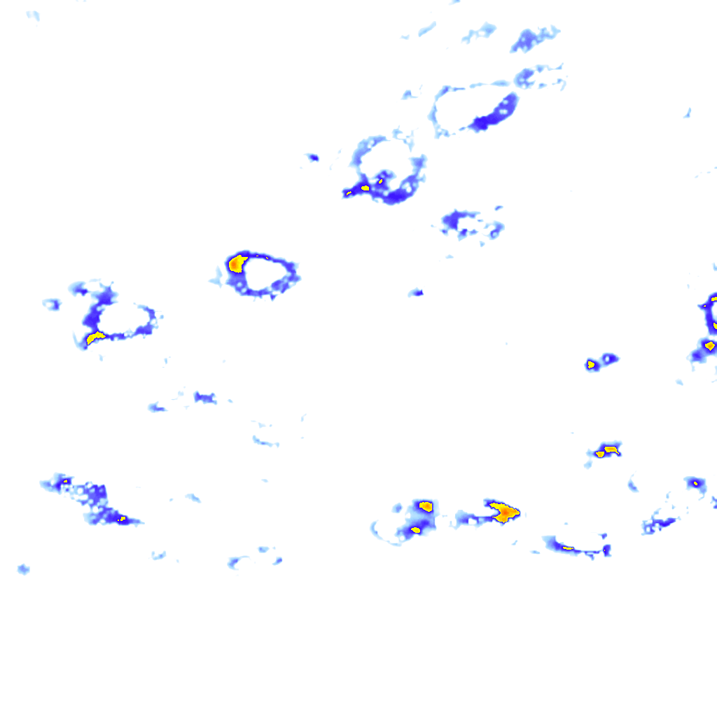 rainLayer