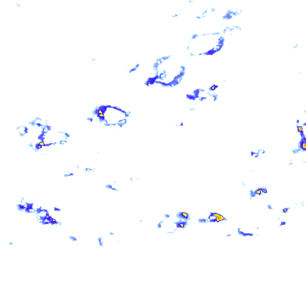 rainLayer