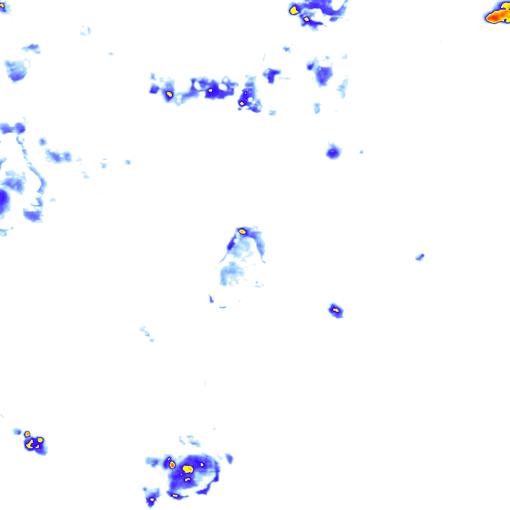 Image Layer