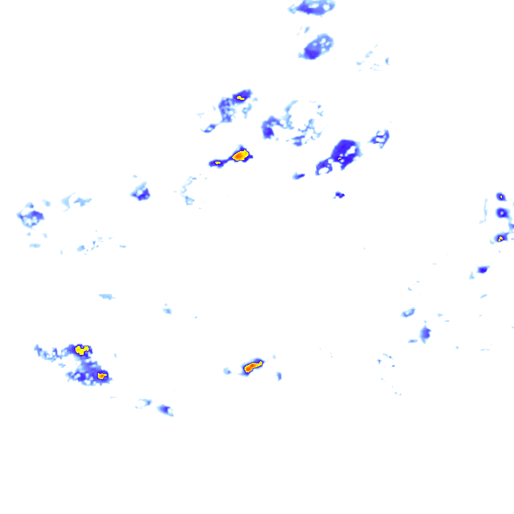 rainLayer
