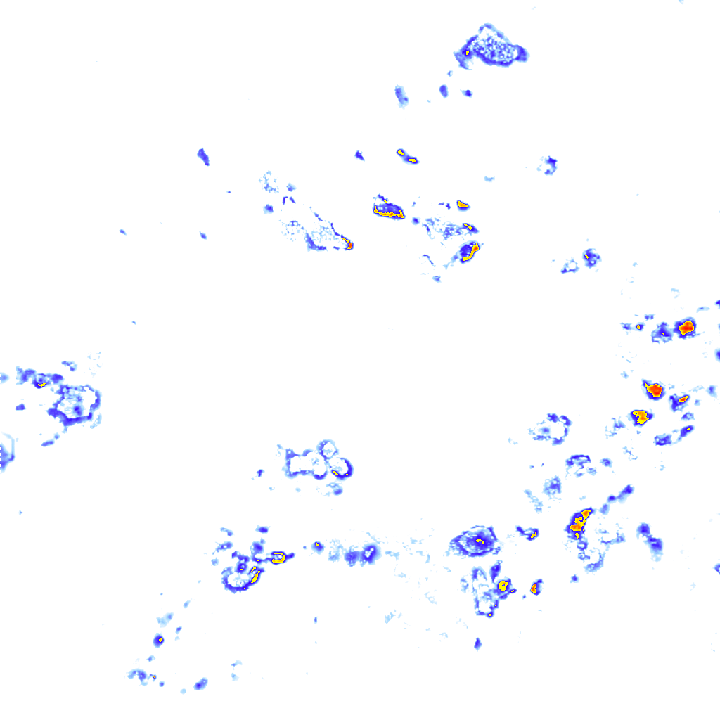 Image Layer