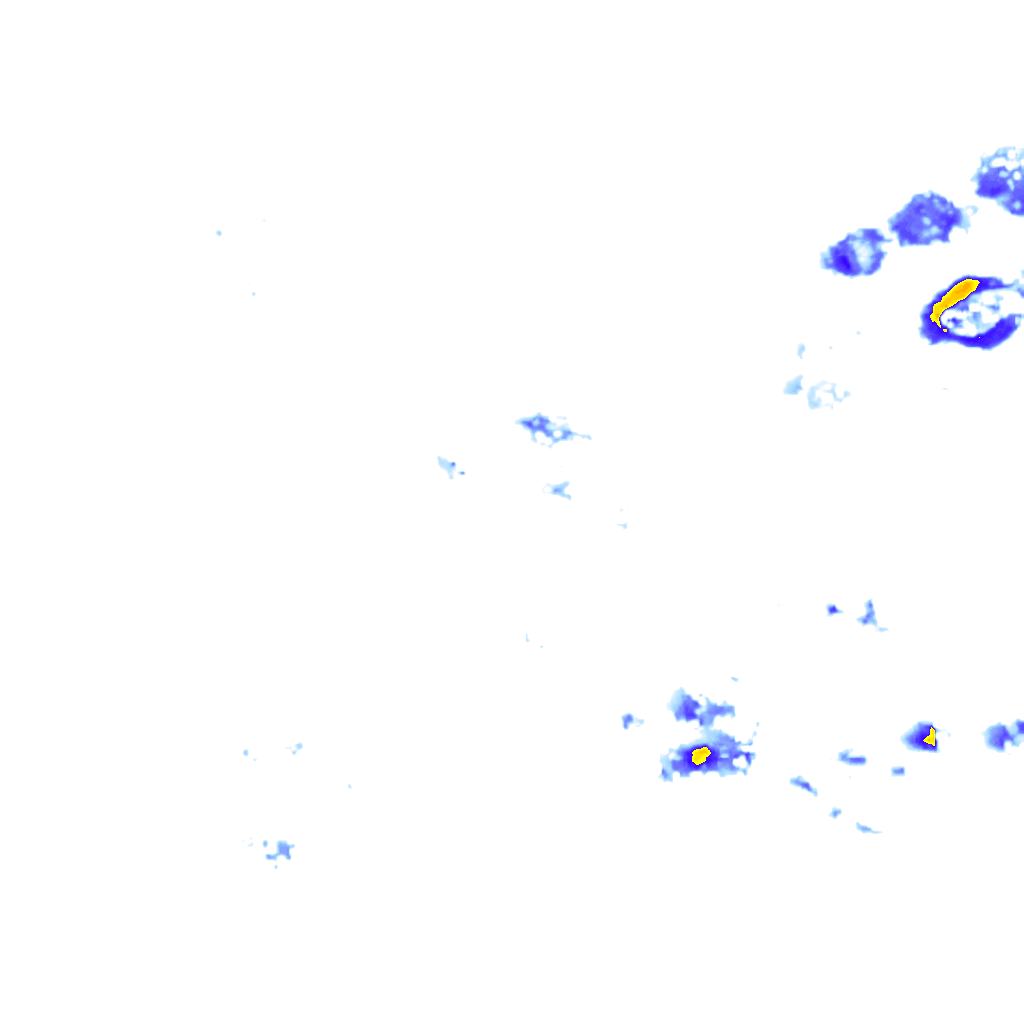 rainLayer