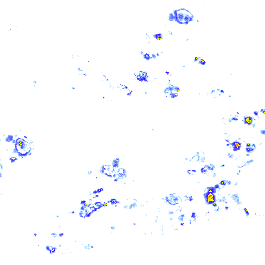 Image Layer