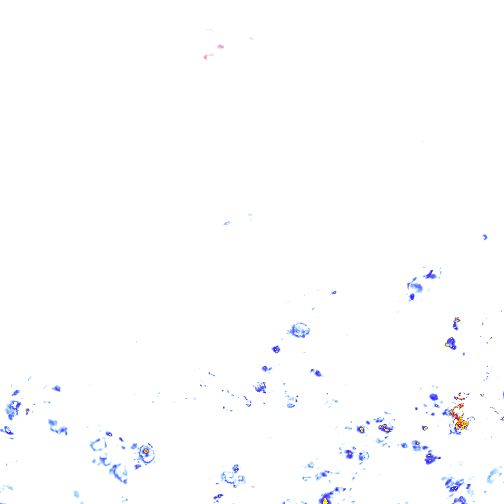 rainLayer