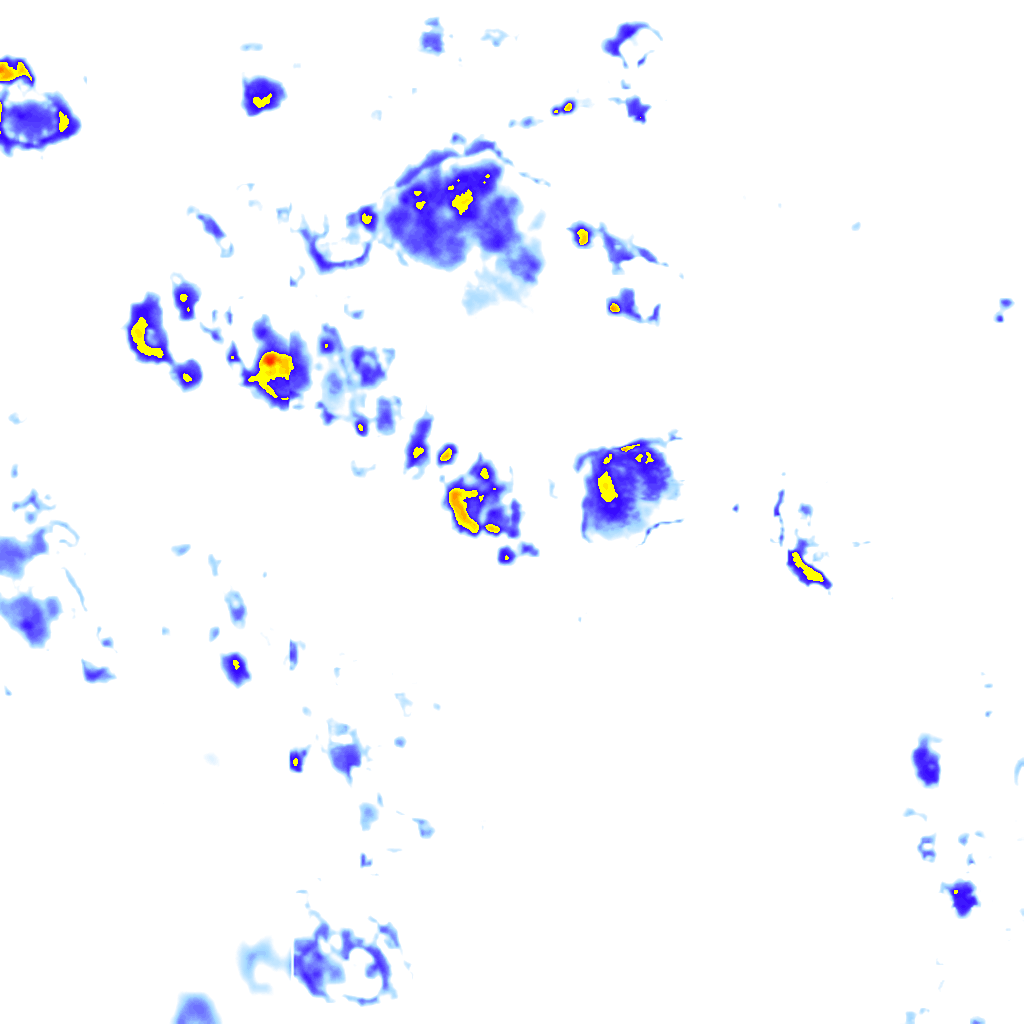 Image Layer