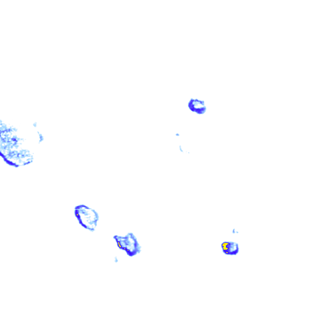 rainLayer