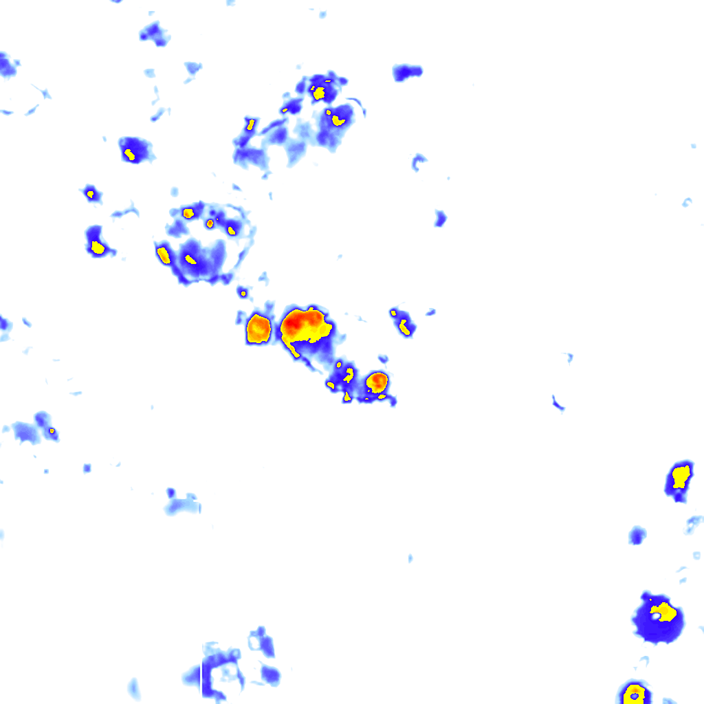 rainLayer