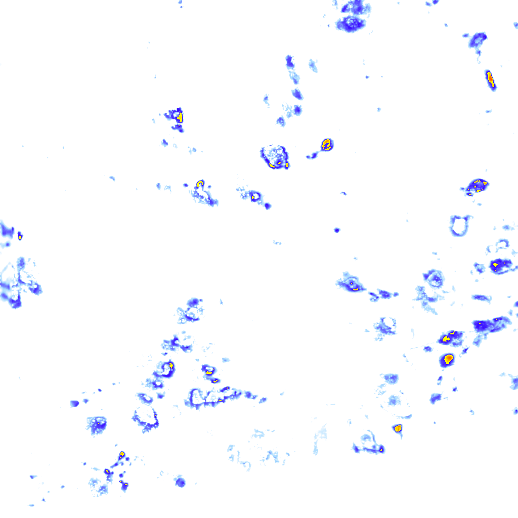 Image Layer