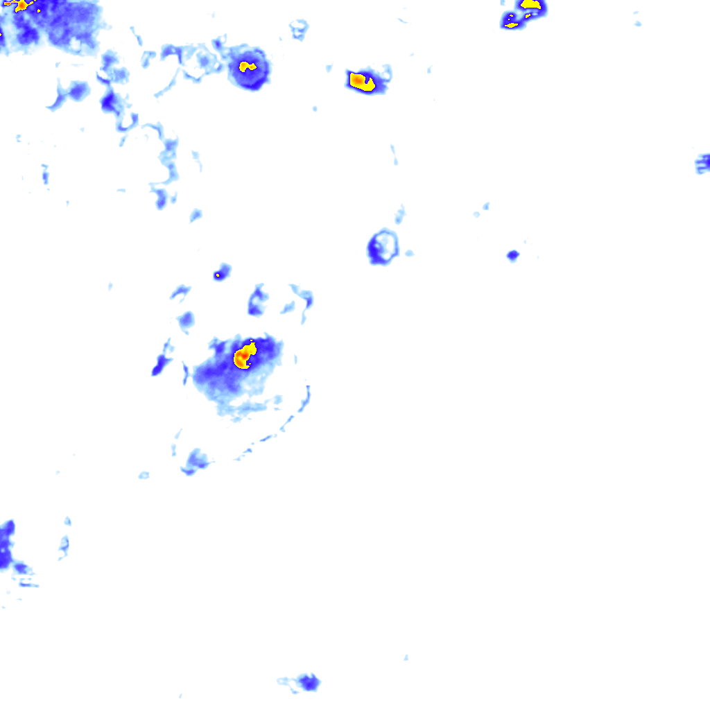 rainLayer