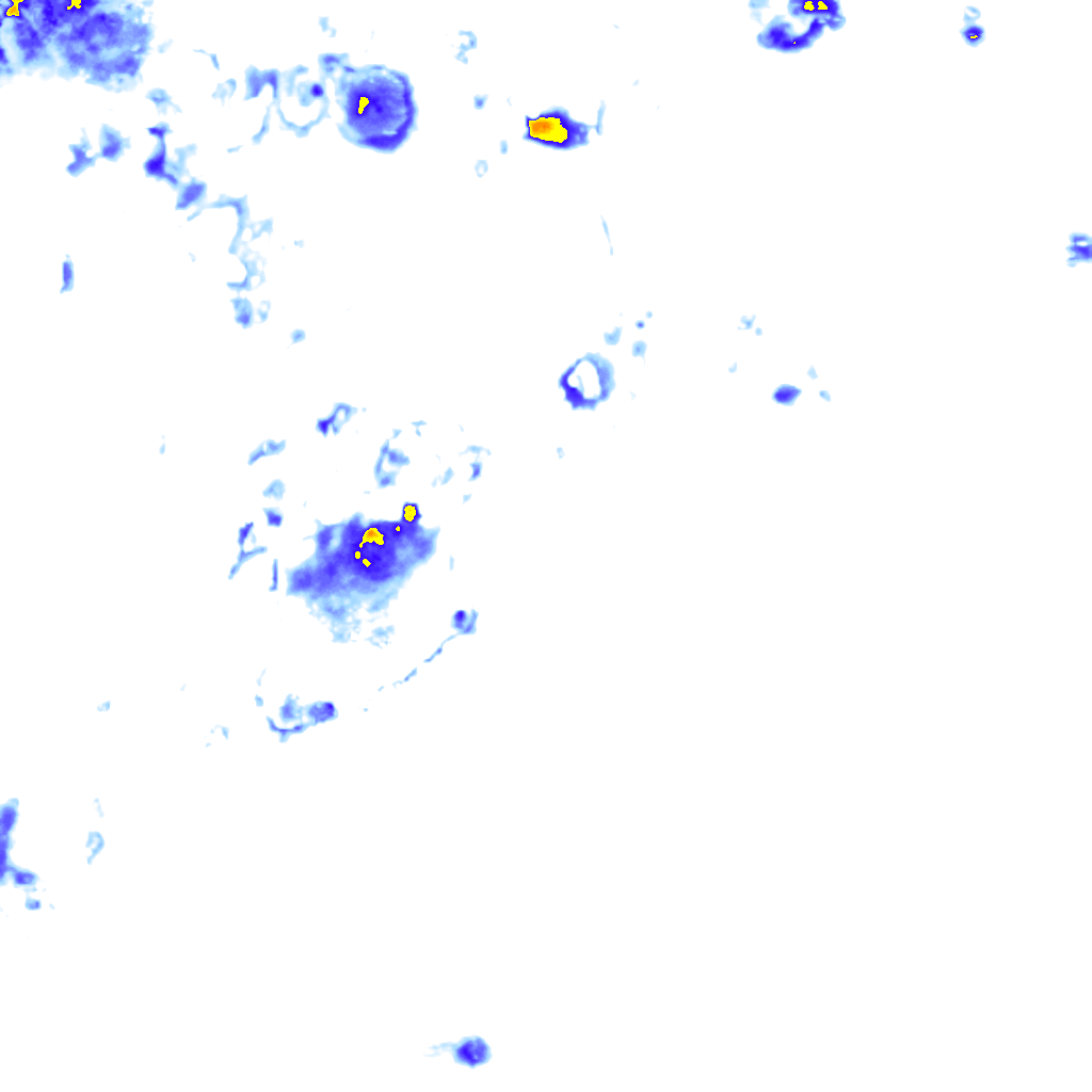 rainLayer