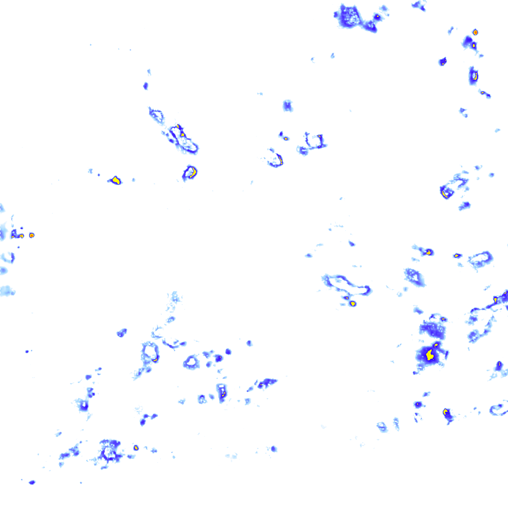 rainLayer