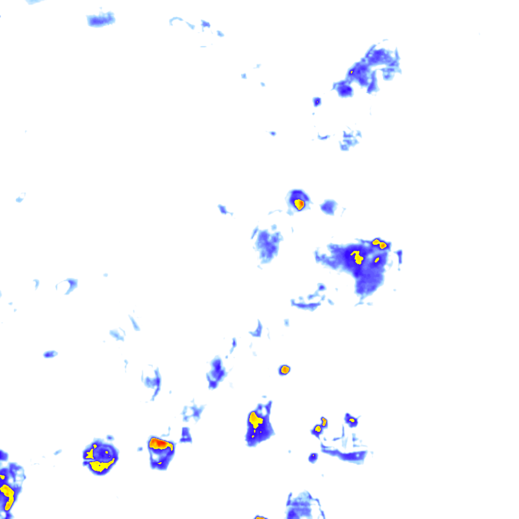 rainLayer