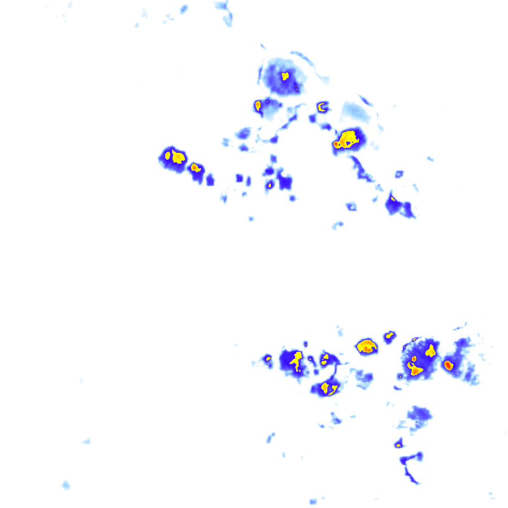 Image Layer