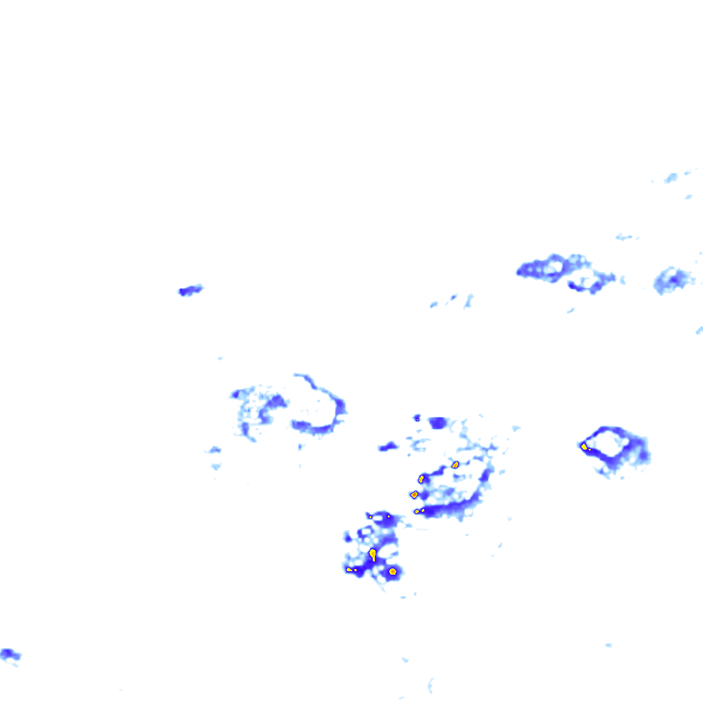 Image Layer