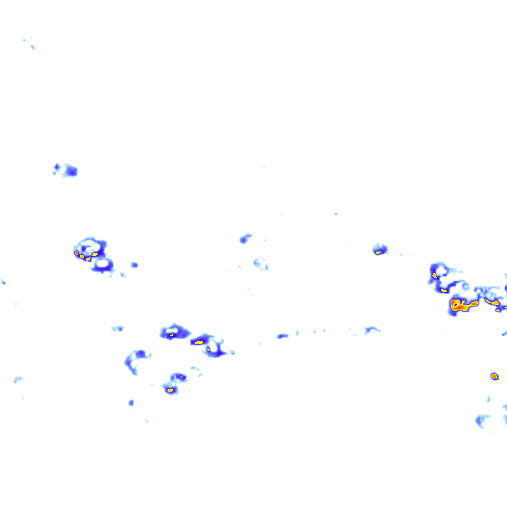 rainLayer