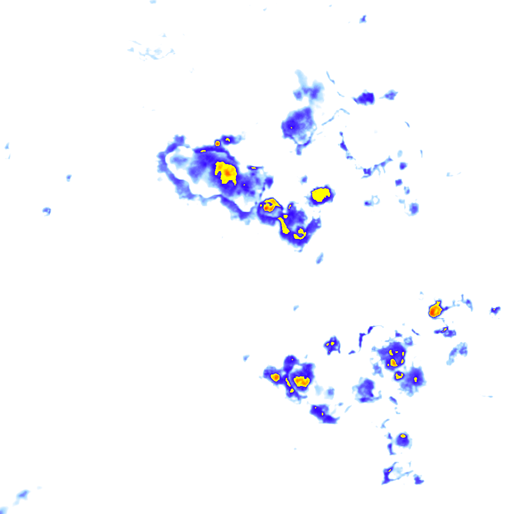 rainLayer