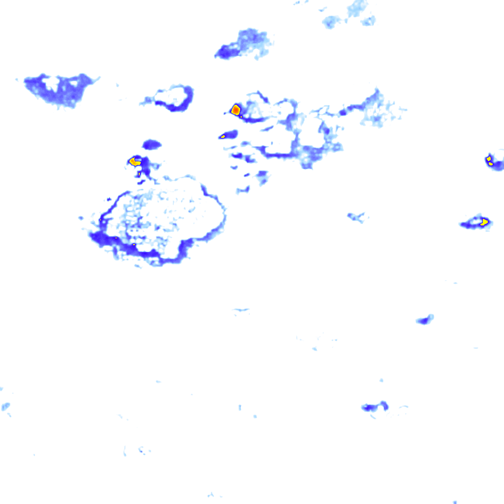 Image Layer
