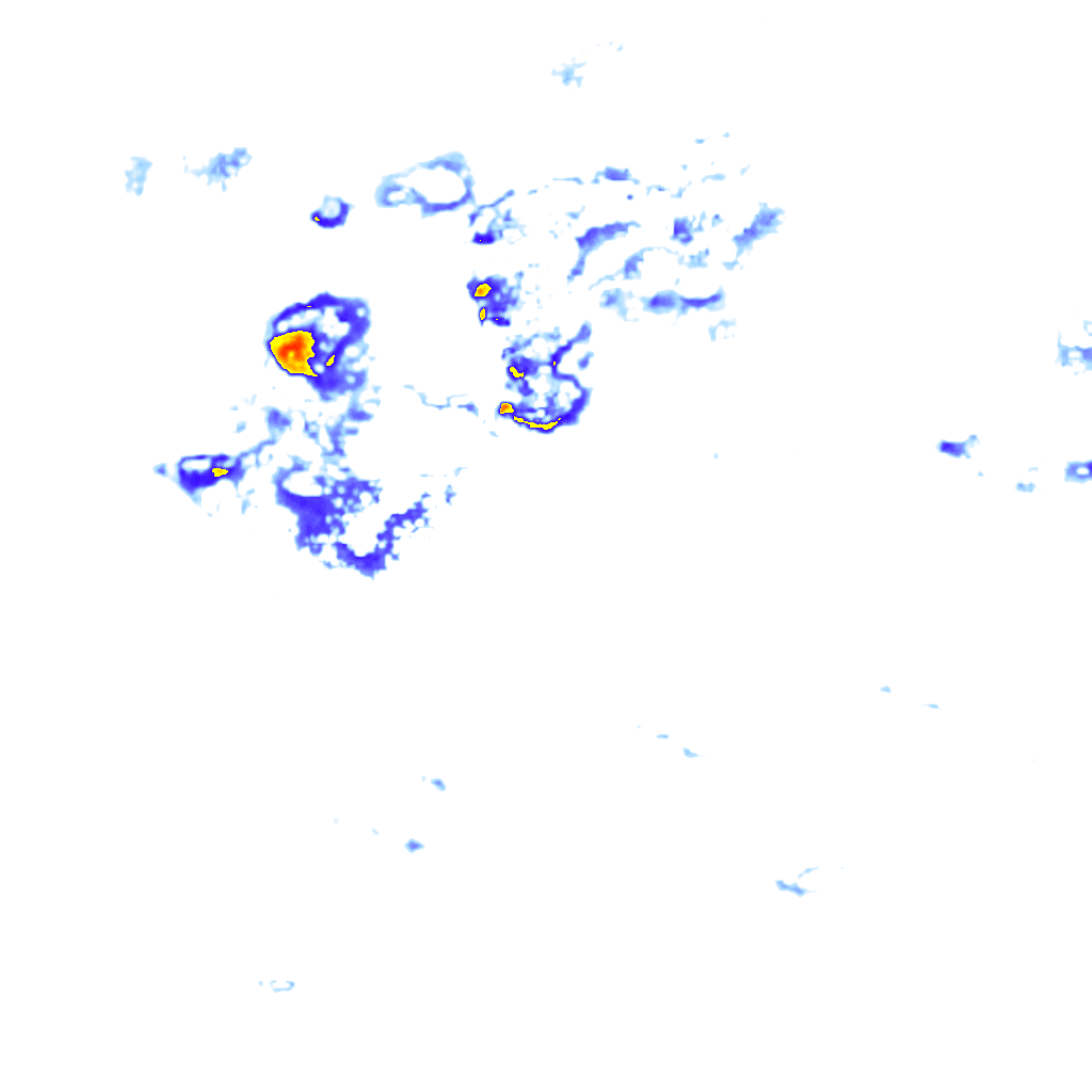 Image Layer