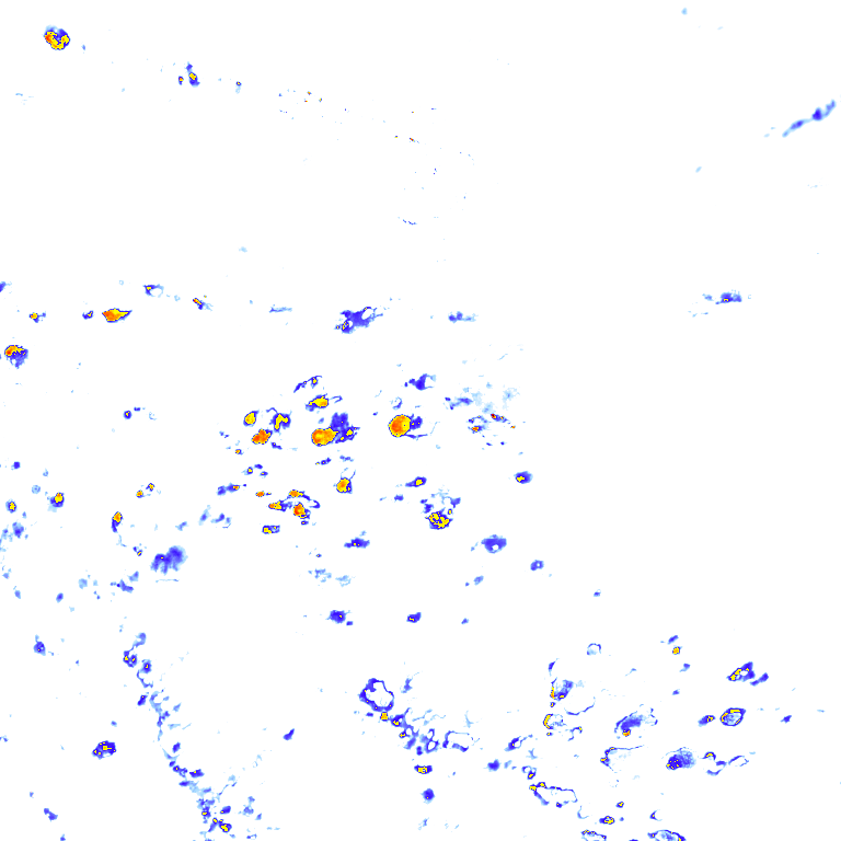 rainLayer