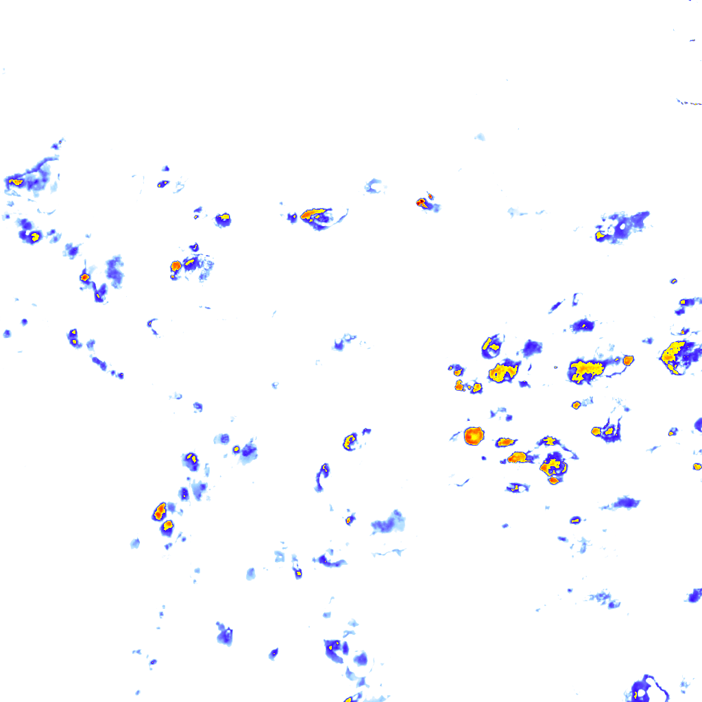 rainLayer