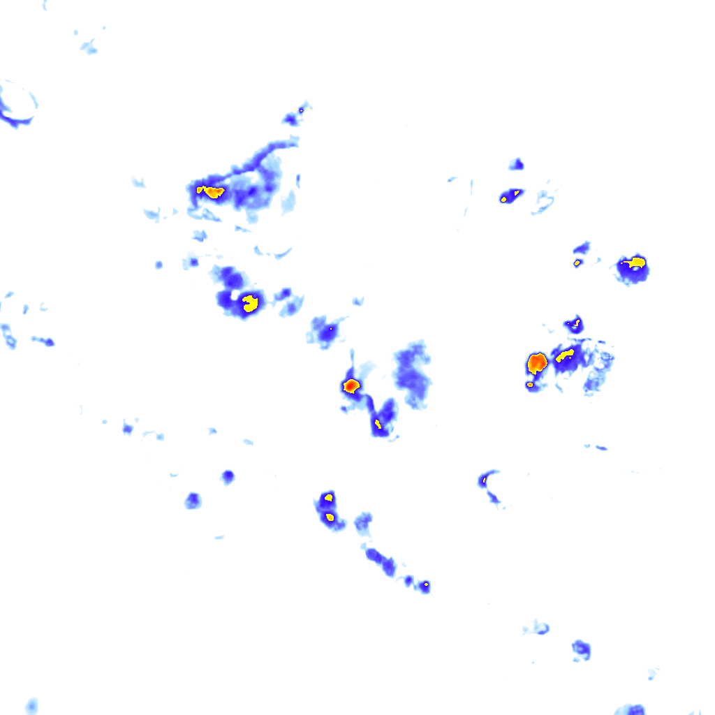 rainLayer