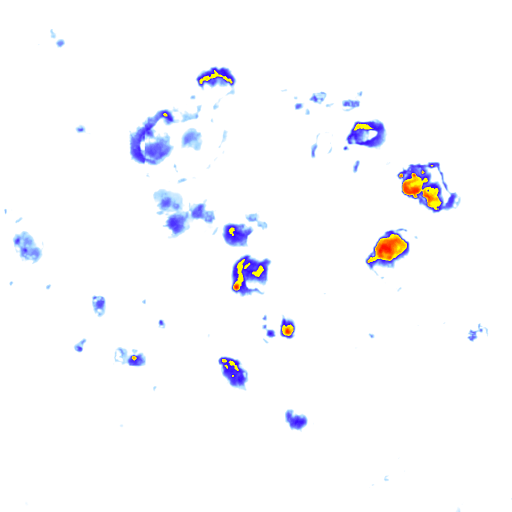 Image Layer