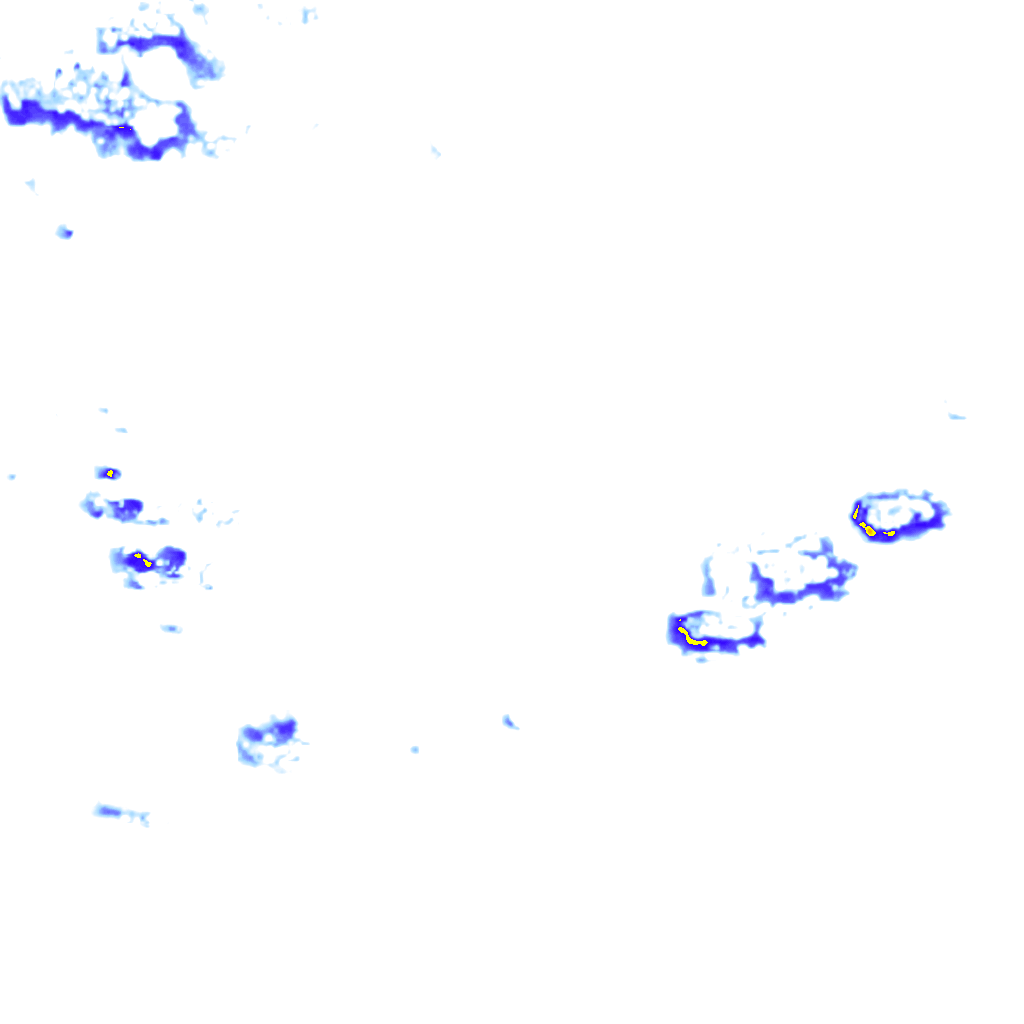rainLayer