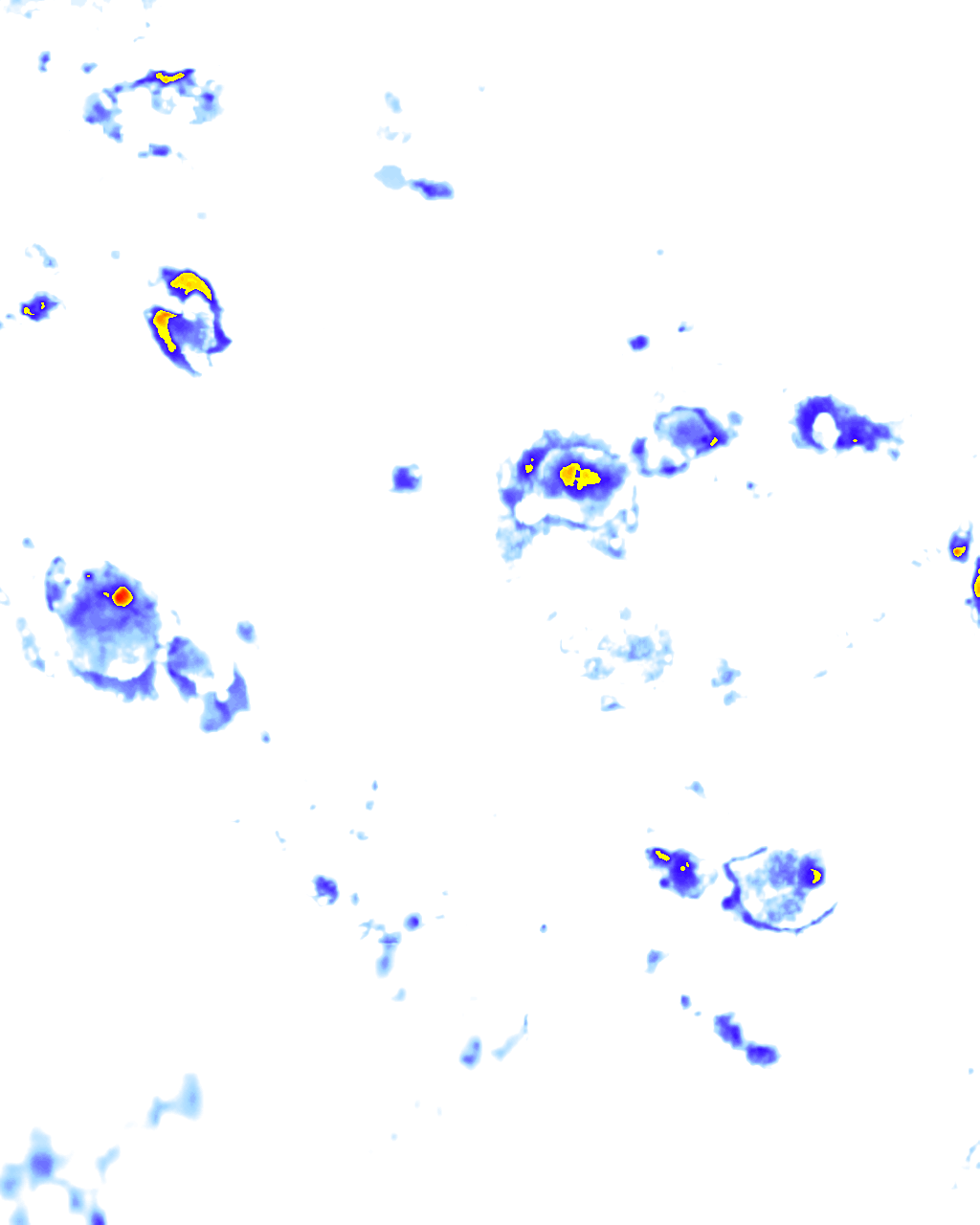 Image Layer
