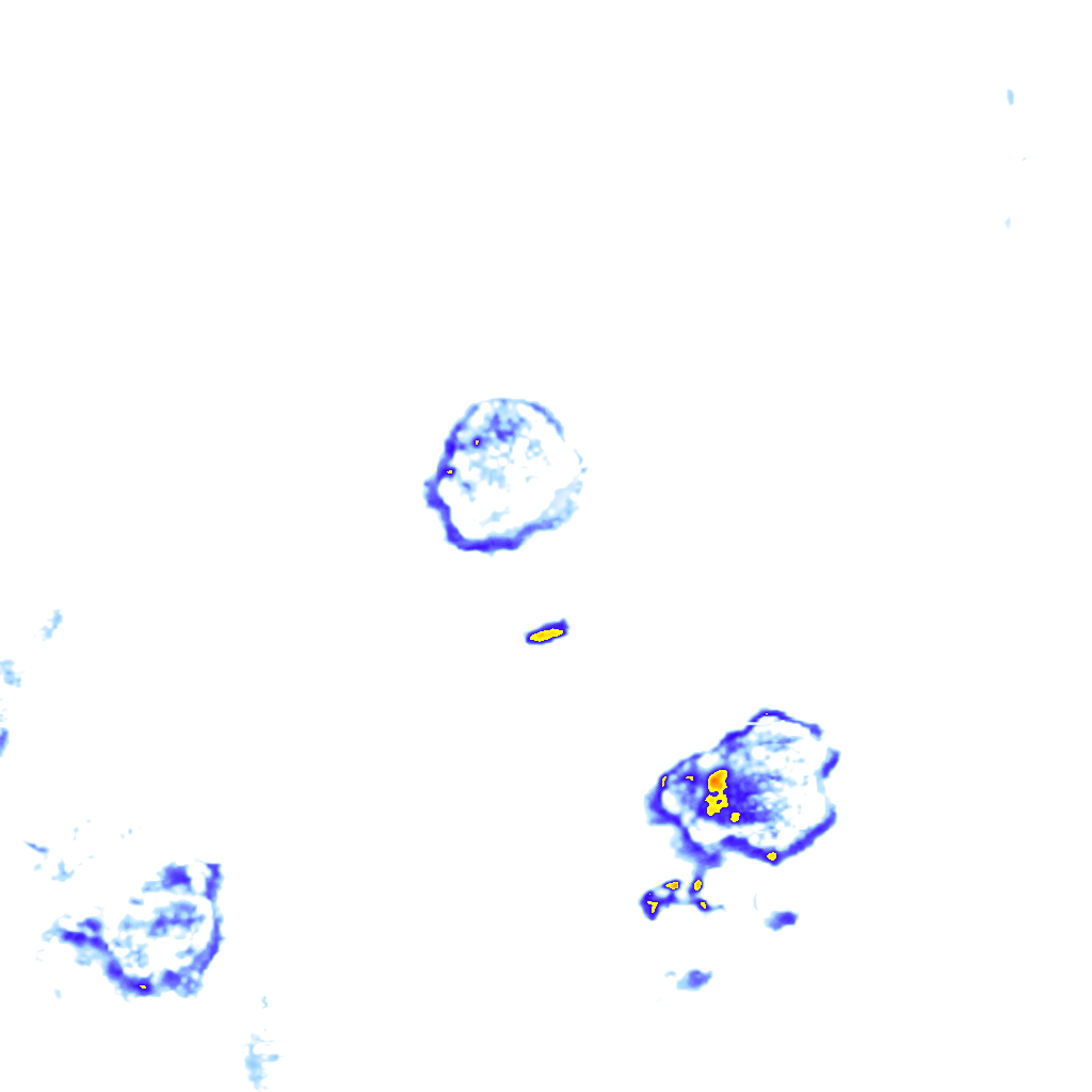 Image Layer
