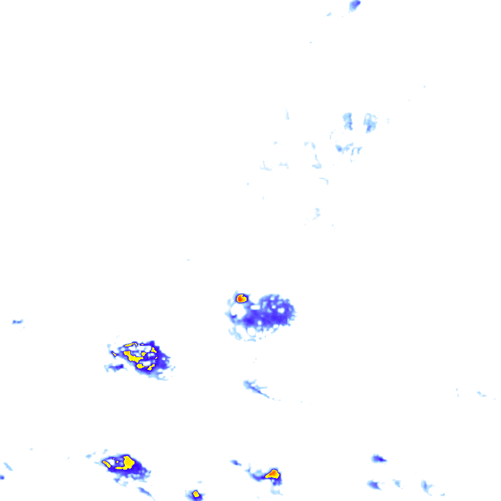 rainLayer
